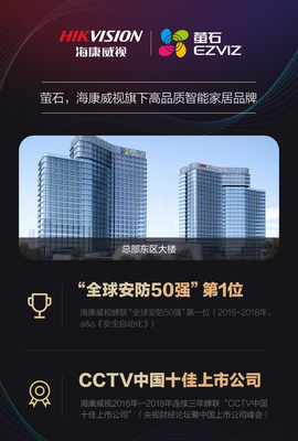 公司概况——安全技术防范系统设计施工服务